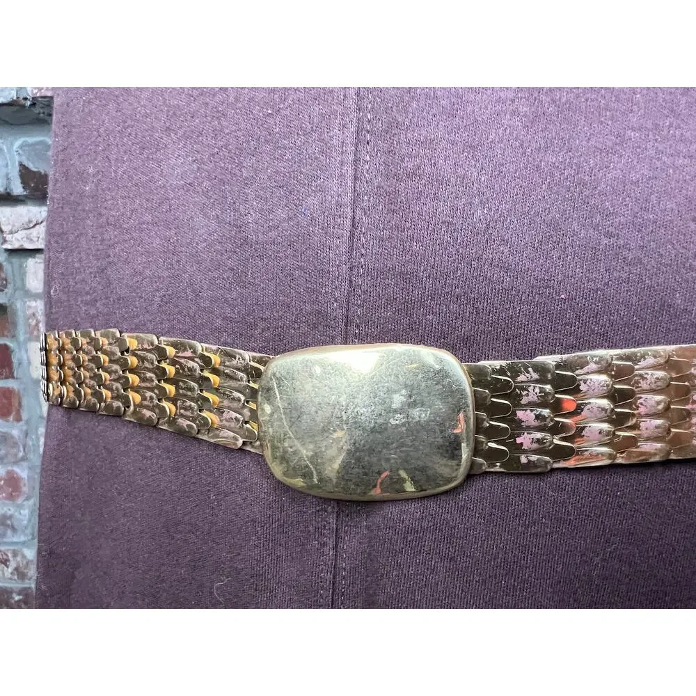 belt fish scale gold elastic